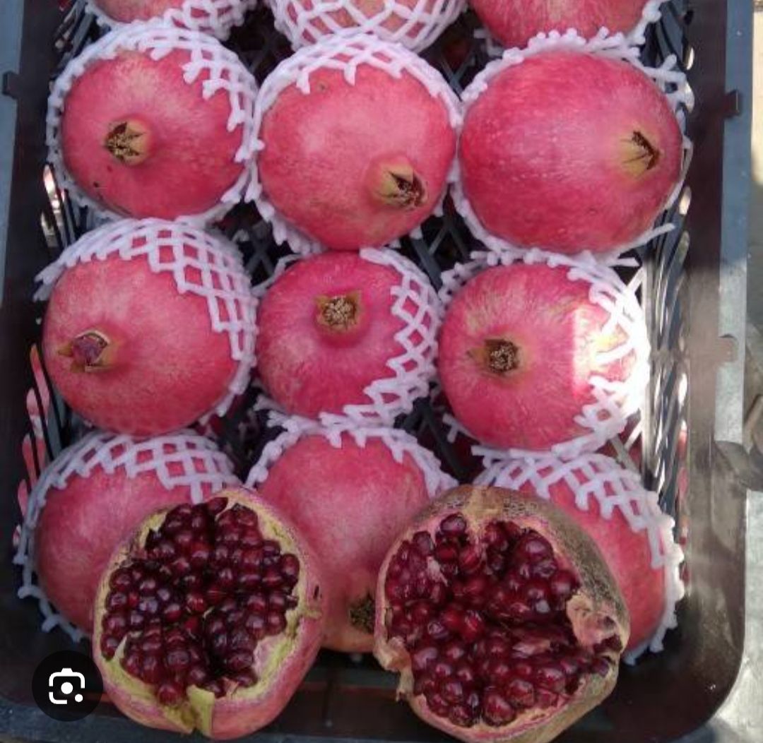 انواع میوه های لوکس و درجه یک 