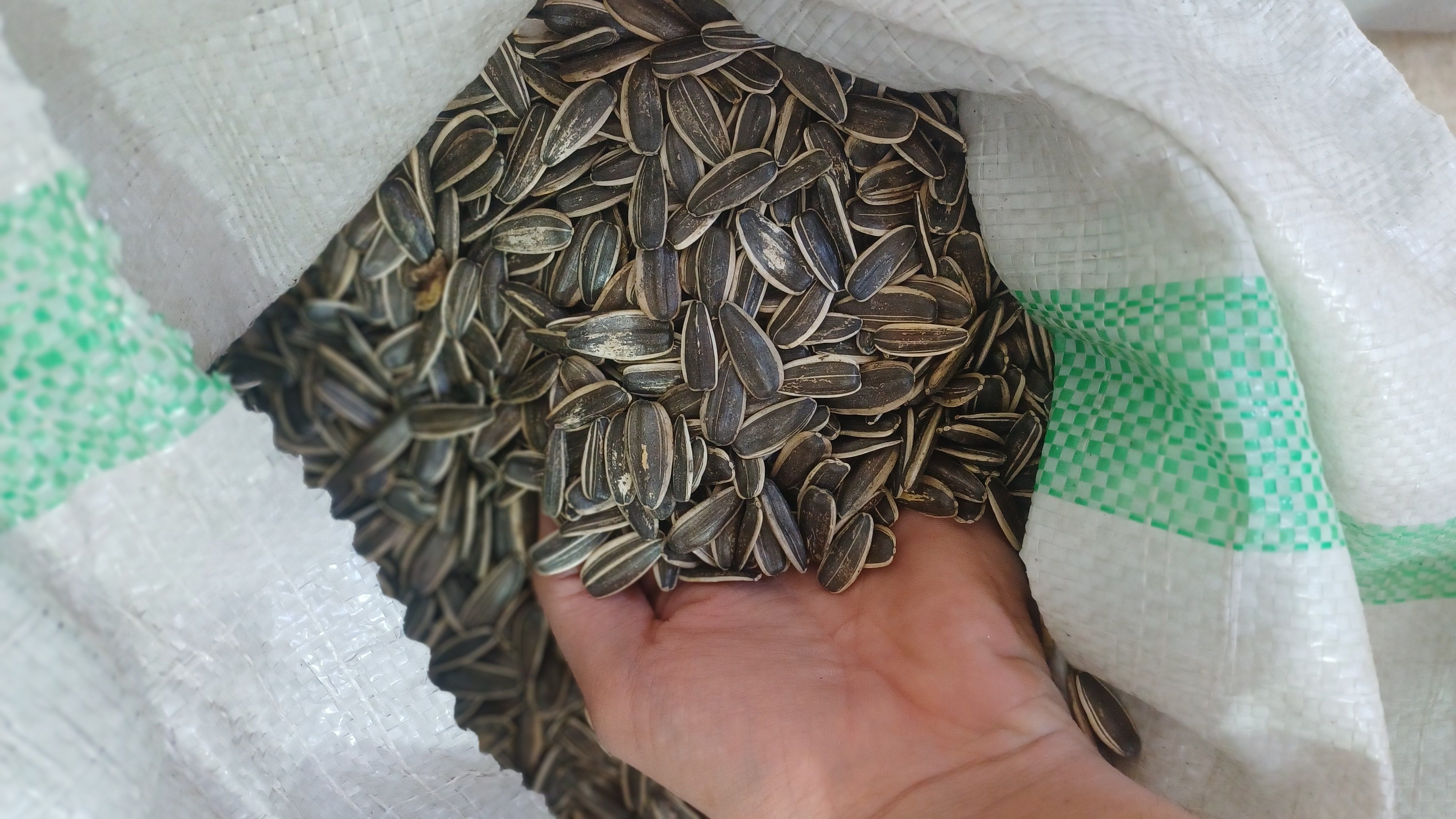 آجیل و تخمه خارجی