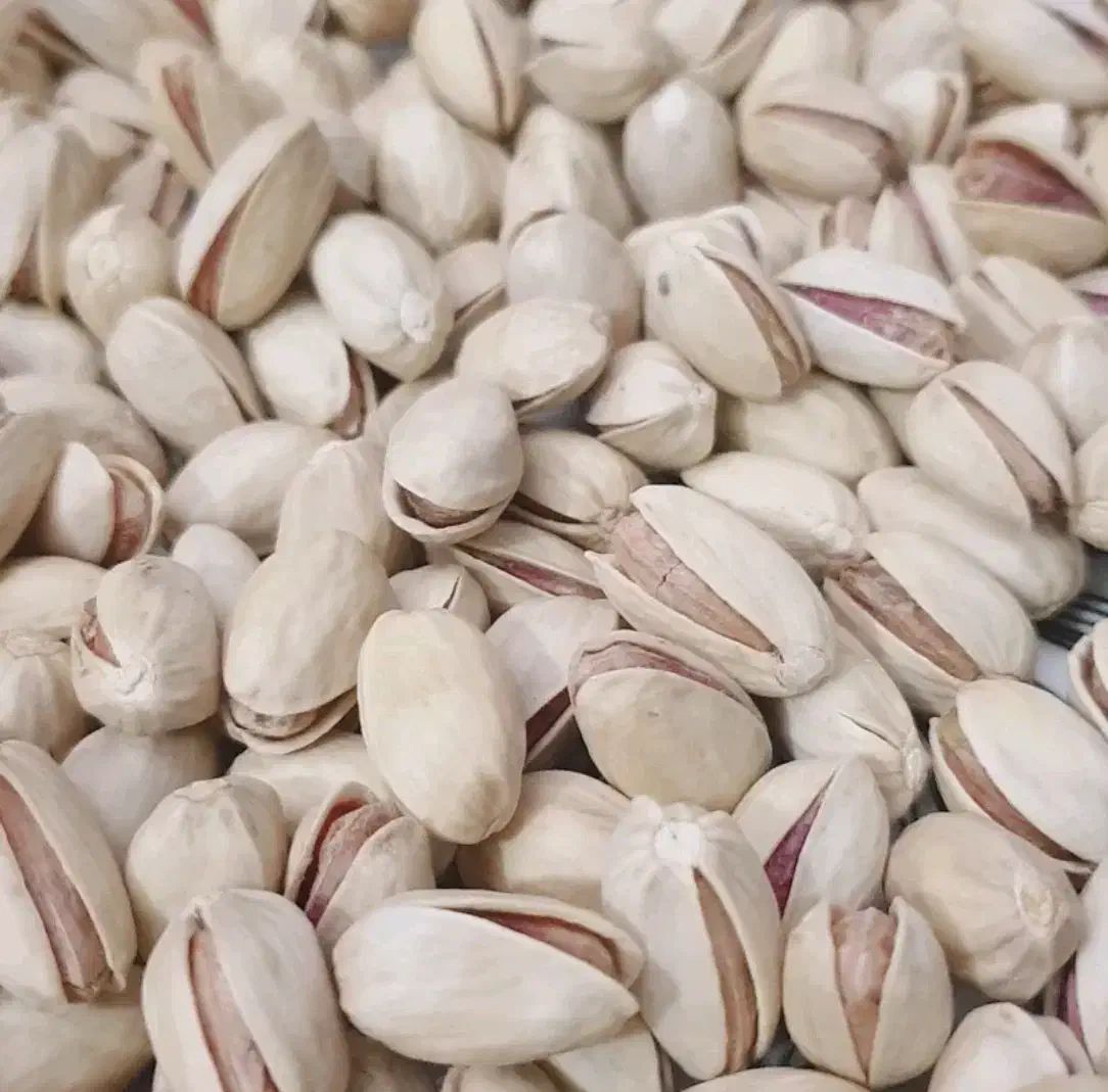 آجیل و تخمه خارجی