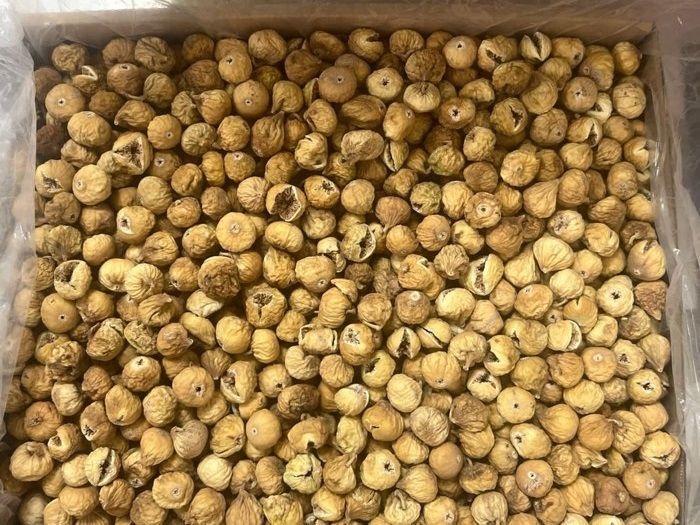 انجیر درجه یک و اعلا استهبان 