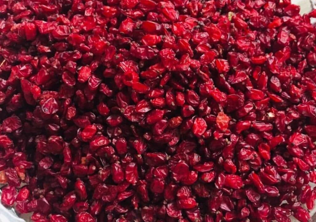 زرشک یاقوت سرخ خراسان 