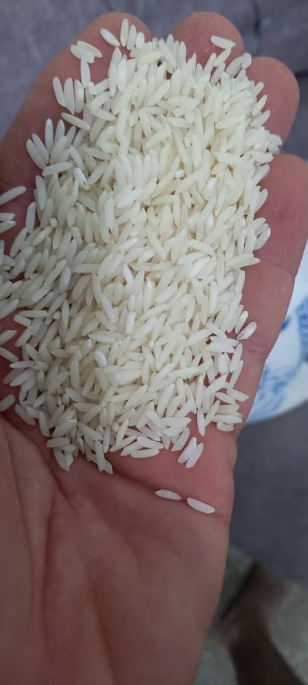 برنج رزاق عرضه انواع برنج ایرانی