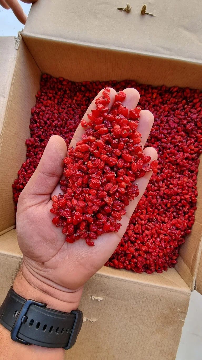 زرشک پفکی خراسان