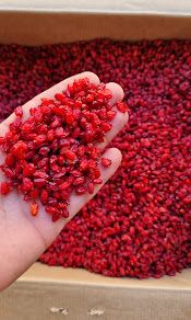 زرشک پفکی خراسان