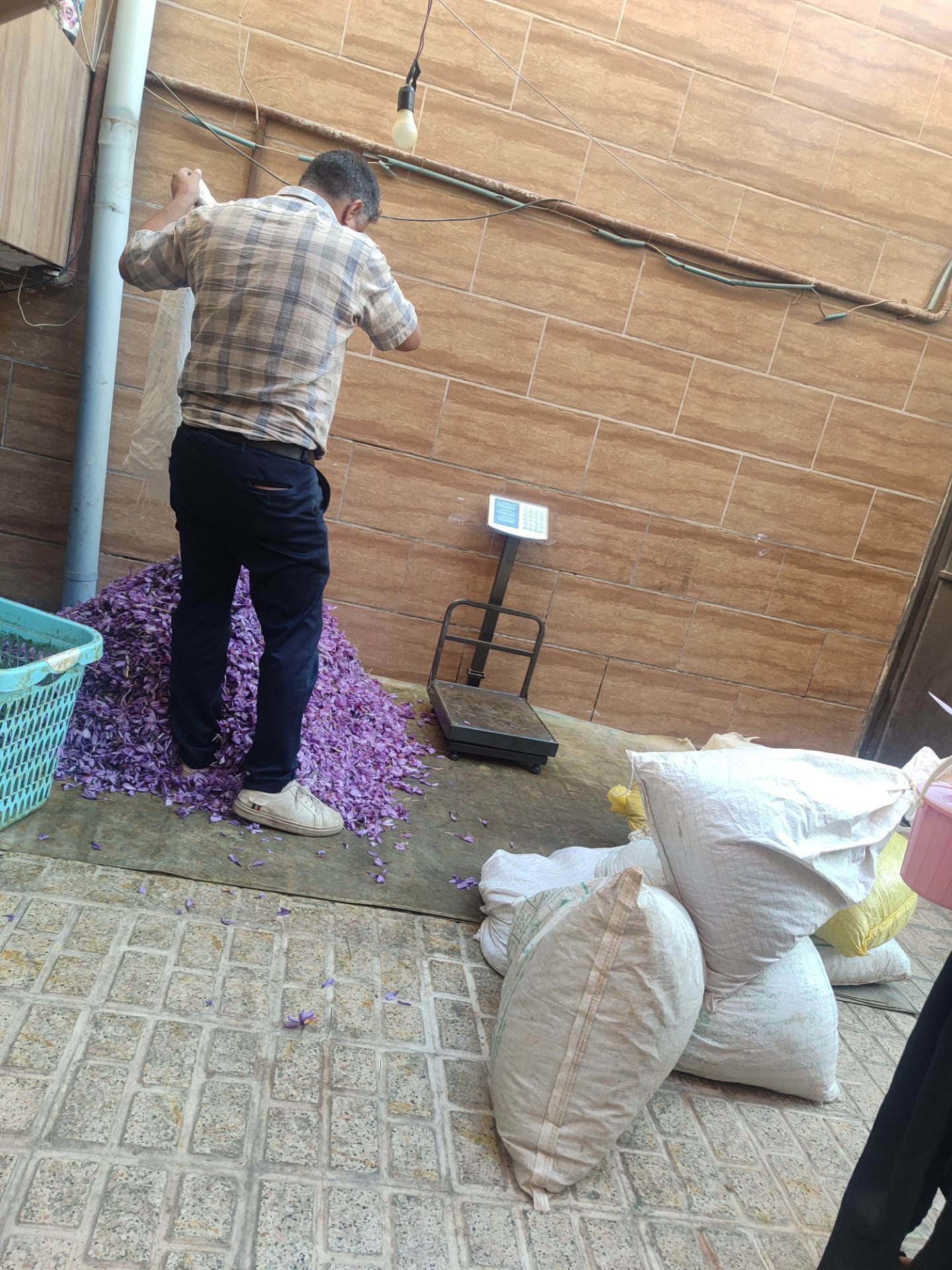 زعفران درجه یک نگین