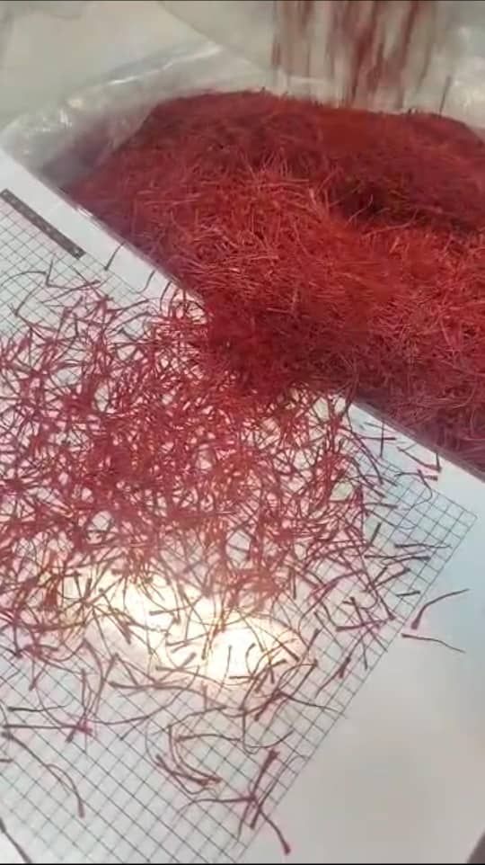 فروش زعفران