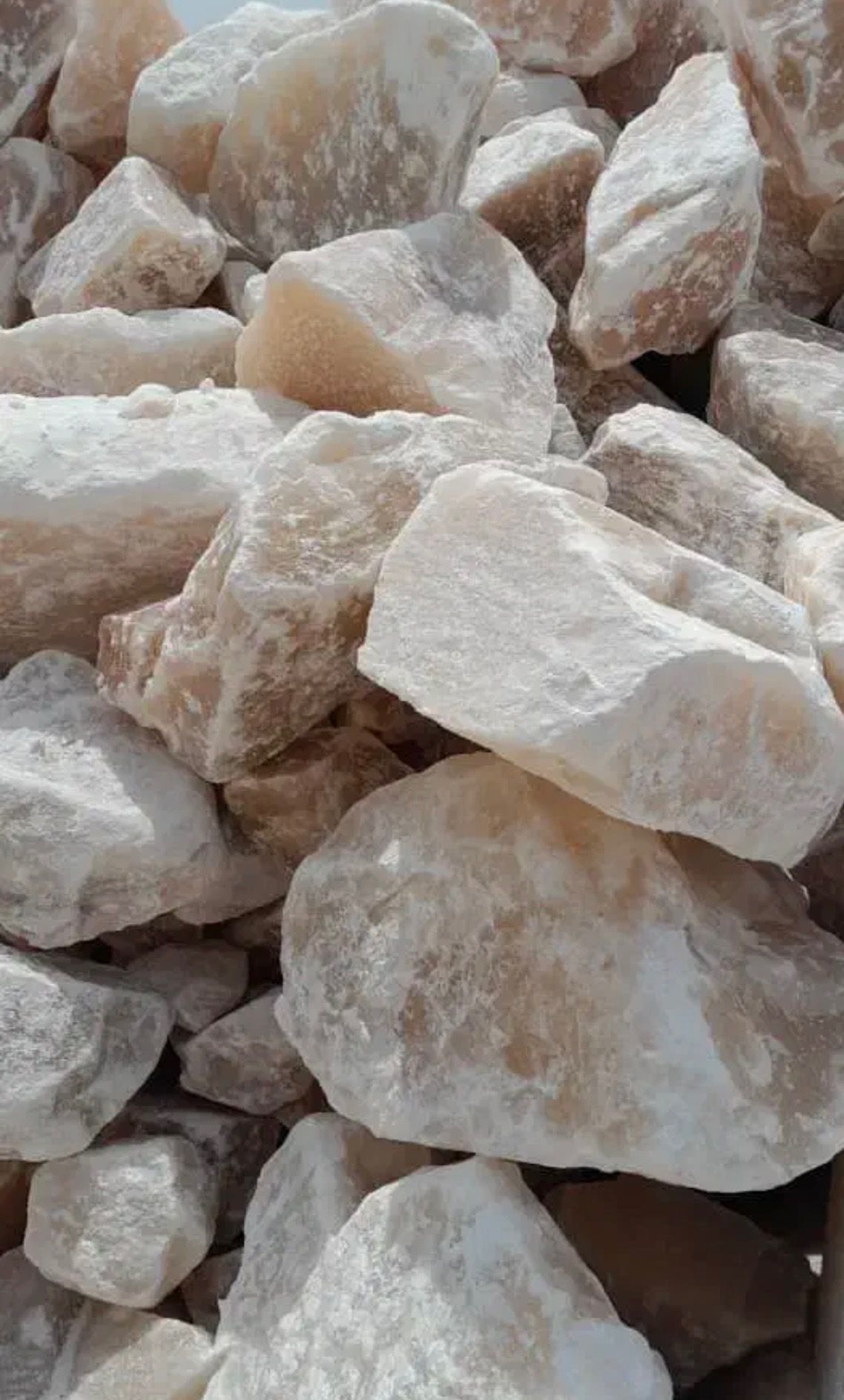 نمک صادراتی خوراکی و بهداشتی
