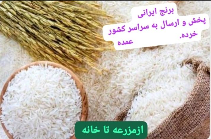 برنج شالیزار