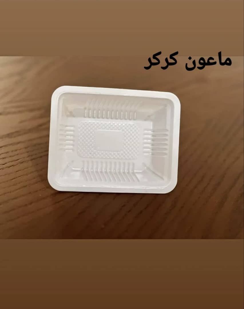 ظروف یکبار مصرف پلاسکو
