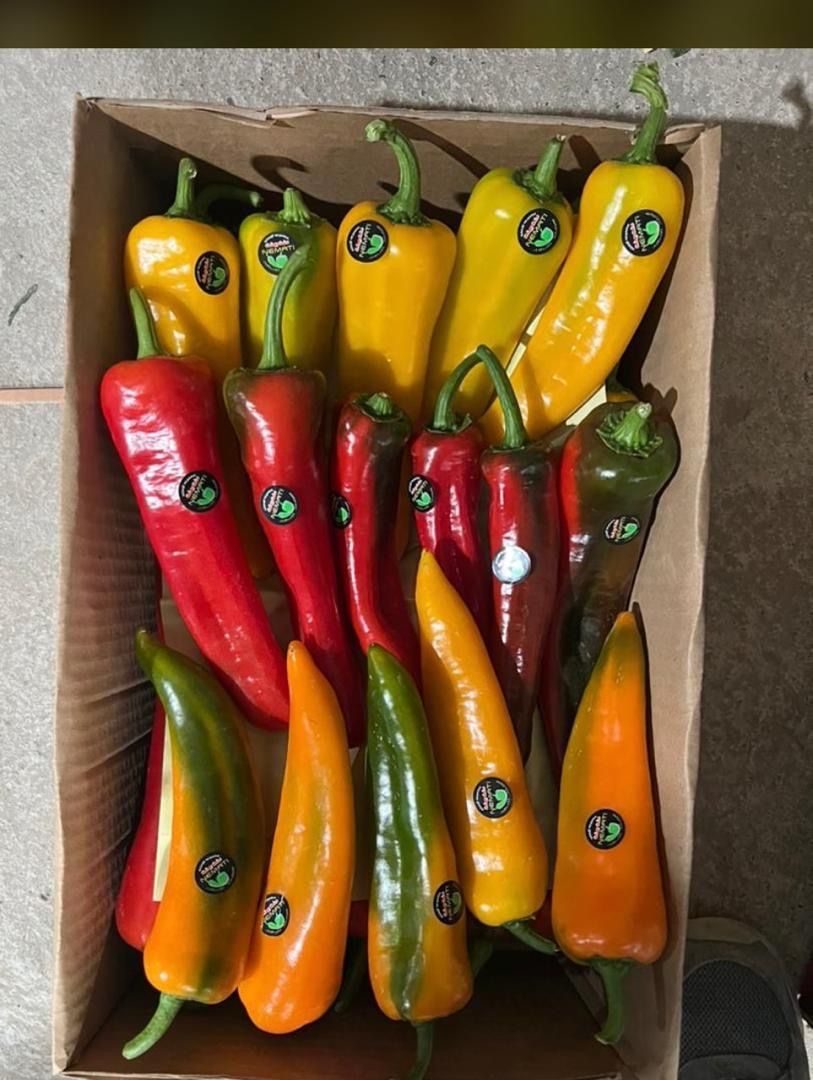 Vegetables