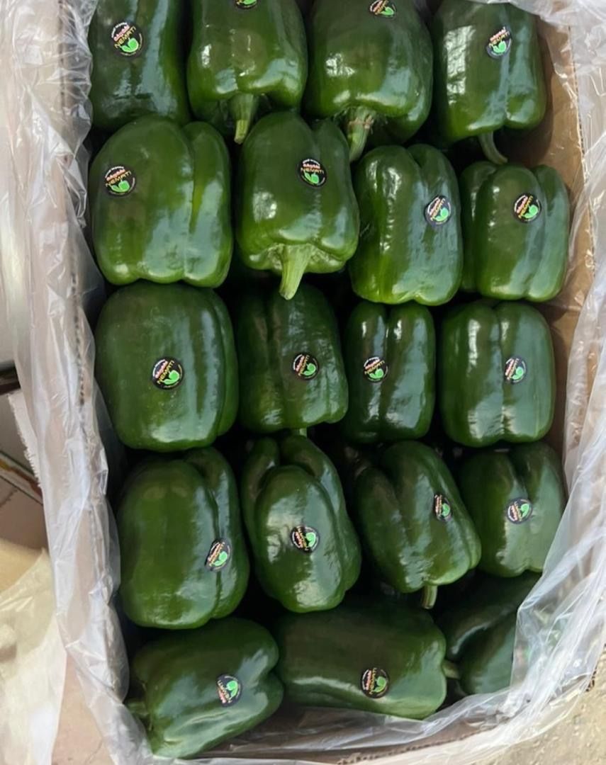 Vegetables