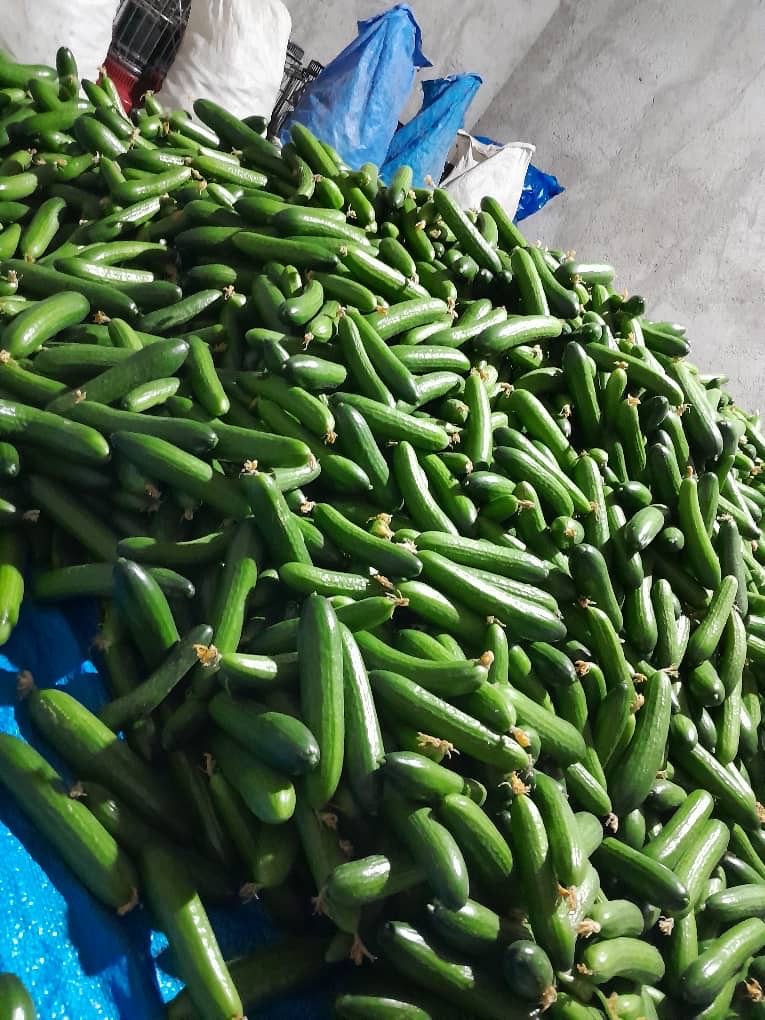 Vegetables
