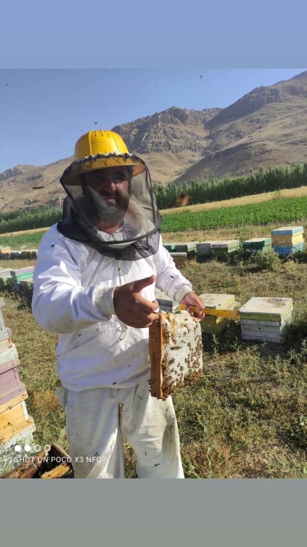فروش عسل طبیعی