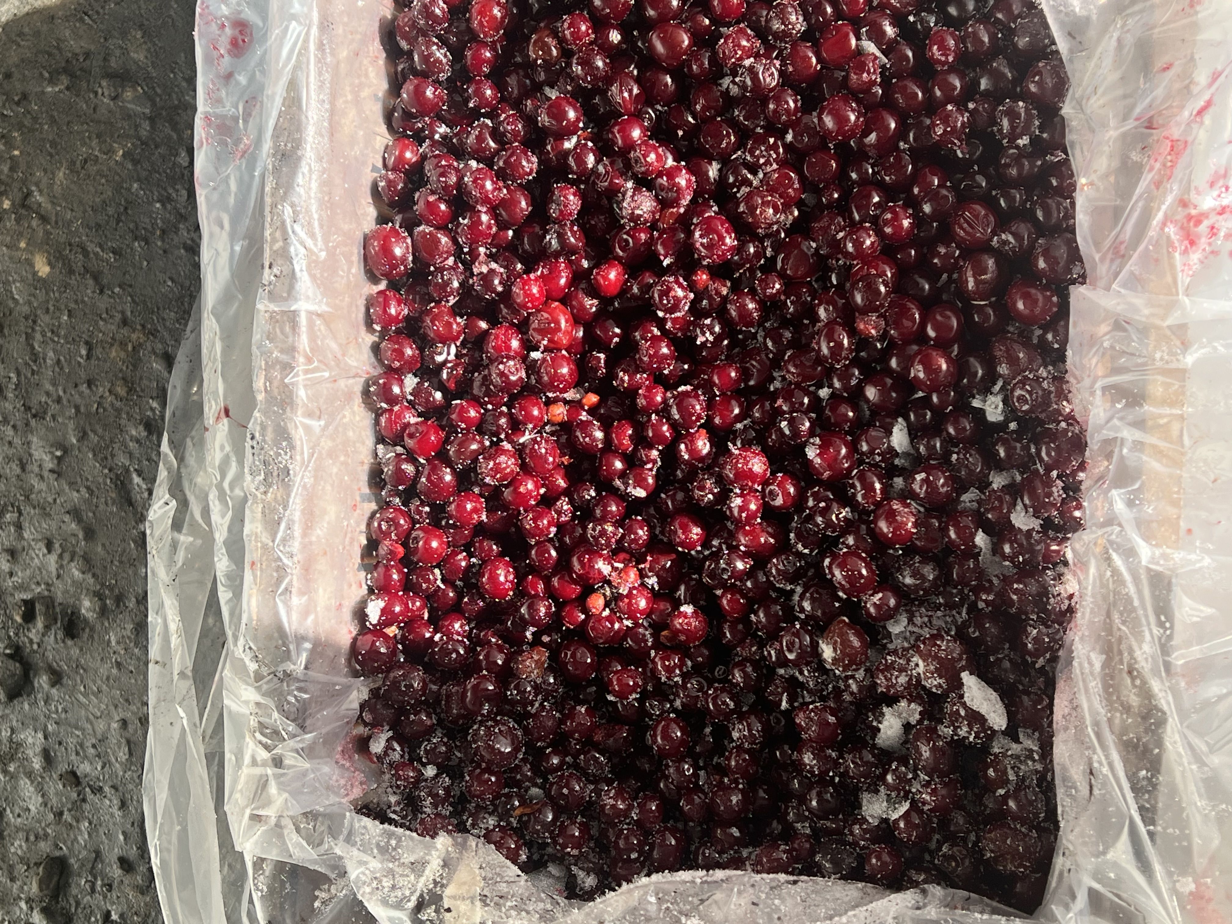 البالو ‌گیلاس وخشکبار 