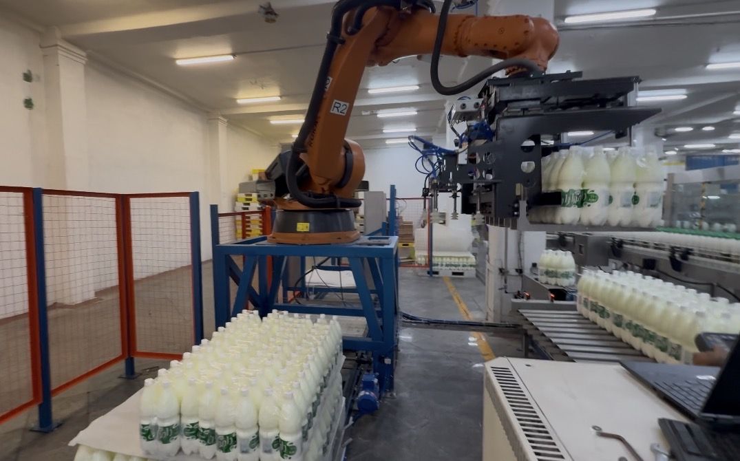 Palletizing Robot
