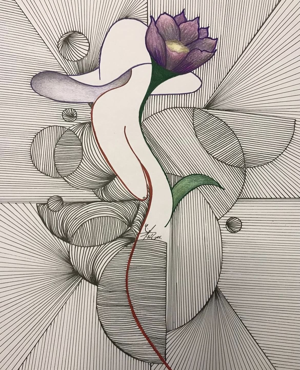 پرواز
