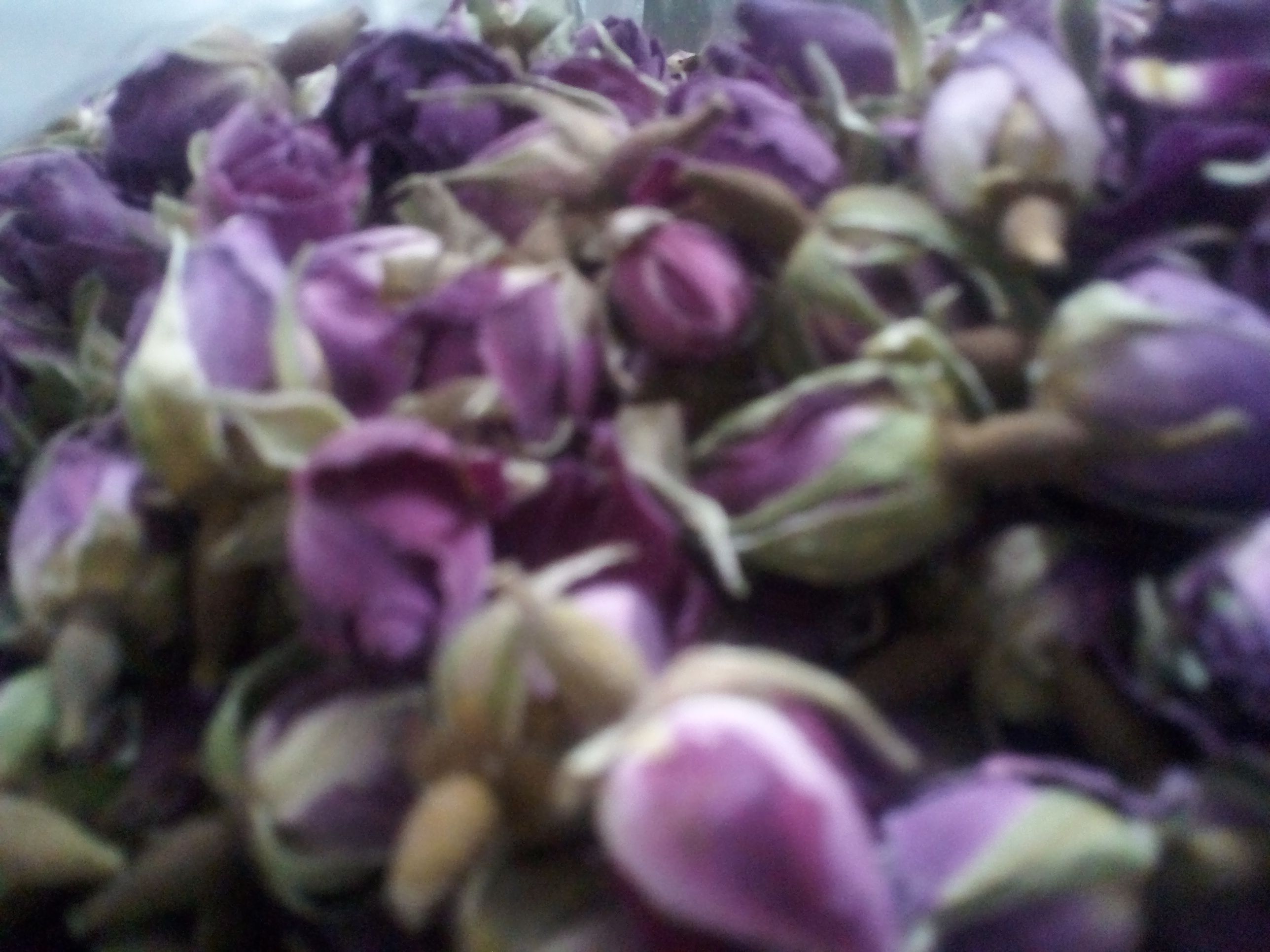 غنچه گل محمدی لوکس واعلا
