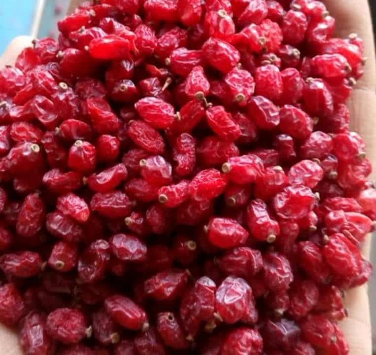 محصولات قائنات