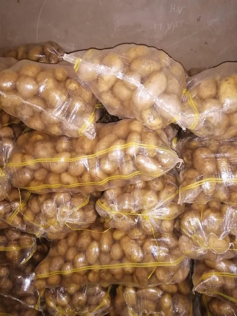 سیب زمینی لوکس