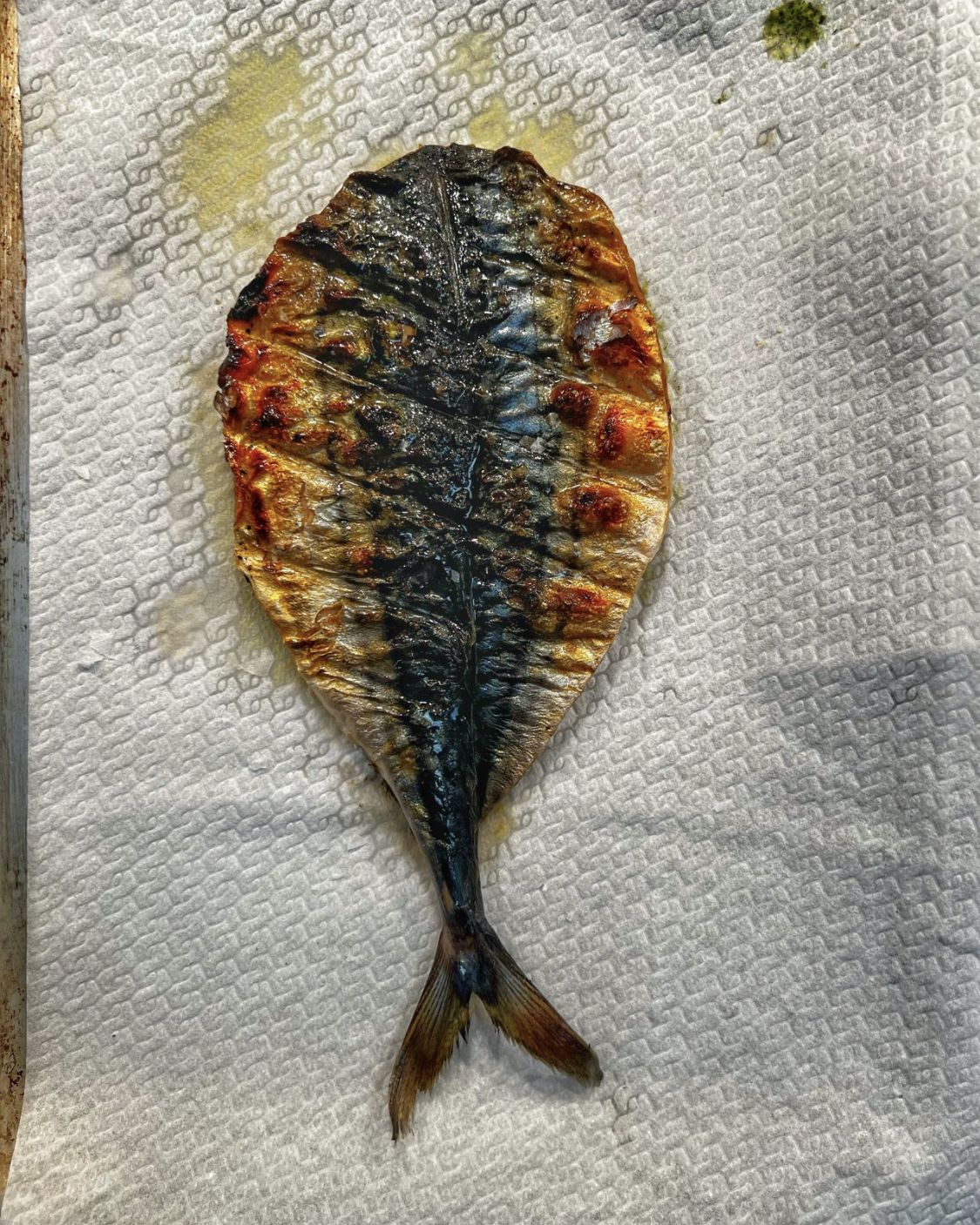 آشپز لاین ایرانی 