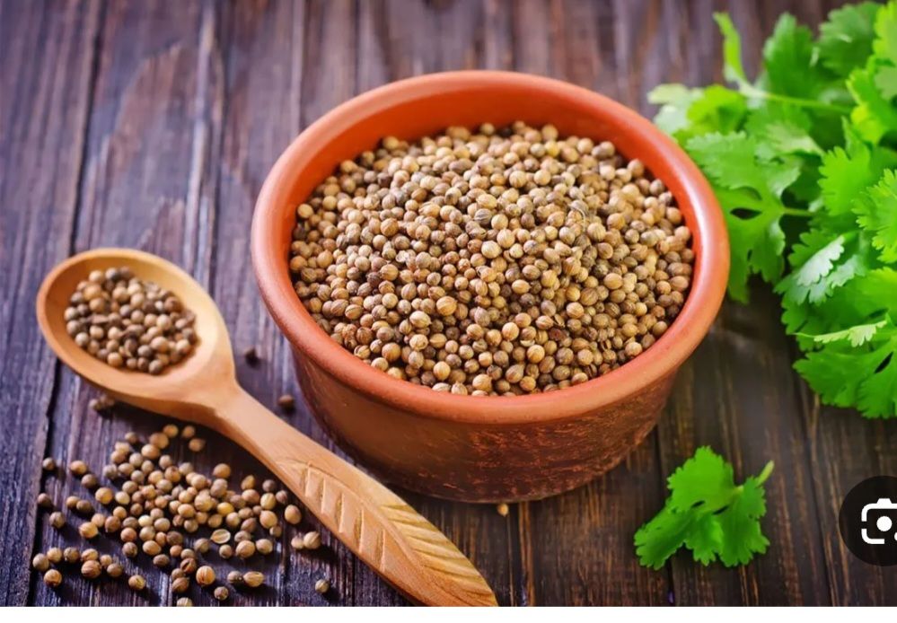 فروش تخم‌گشنیز معطر