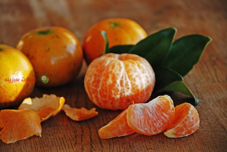 صاردات انواع میوه در تمامی فصل های سال