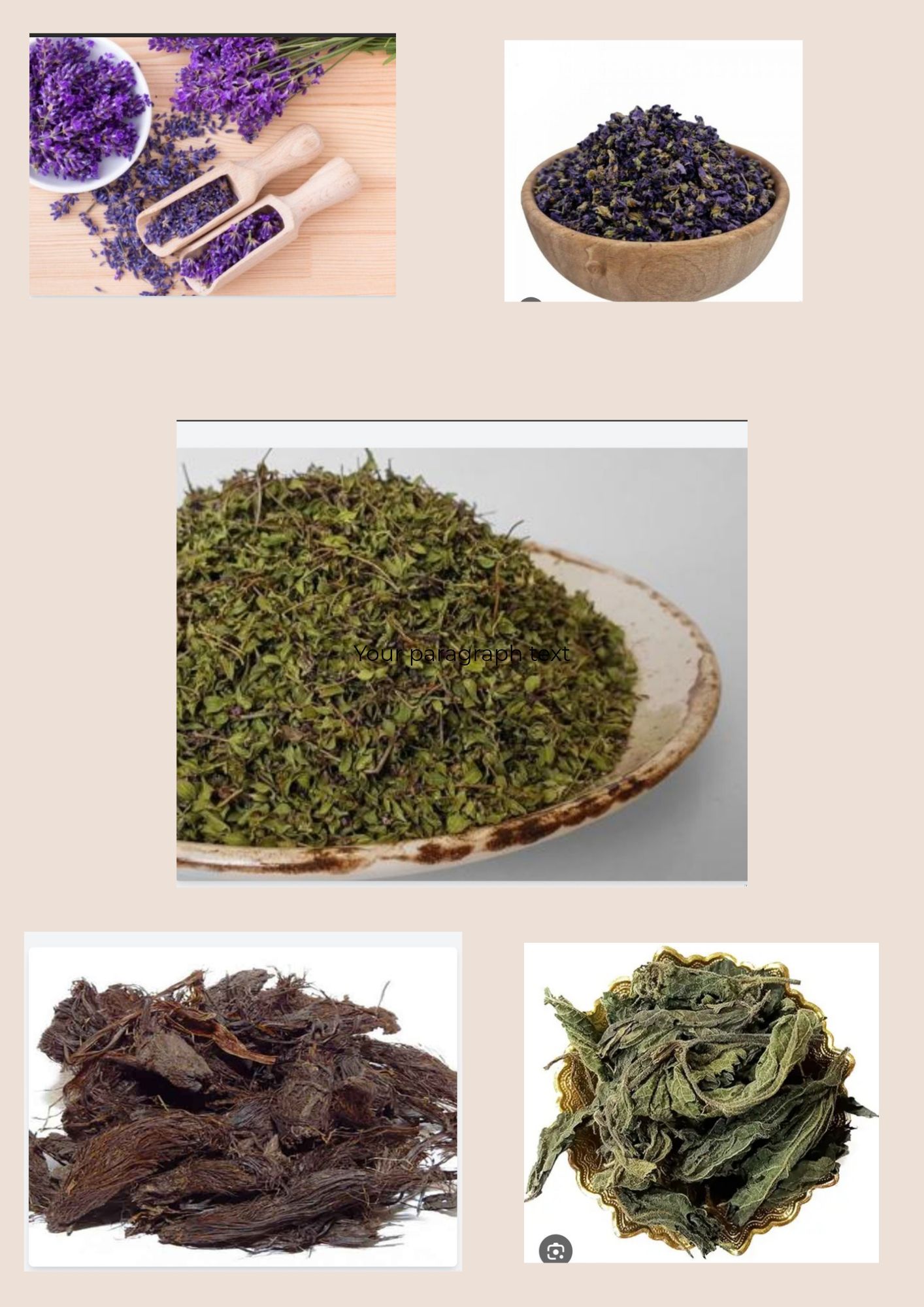 دمنوش های گیاهی 