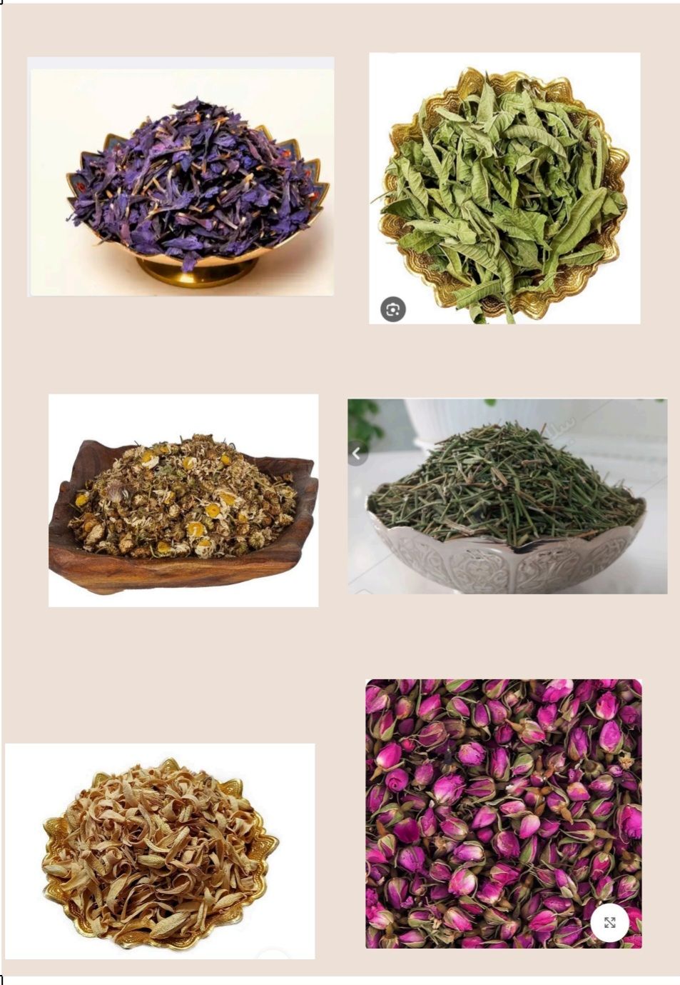 دمنوش های گیاهی 