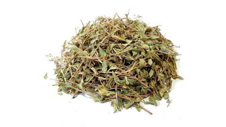 دمنوش گیاه کاکوتی