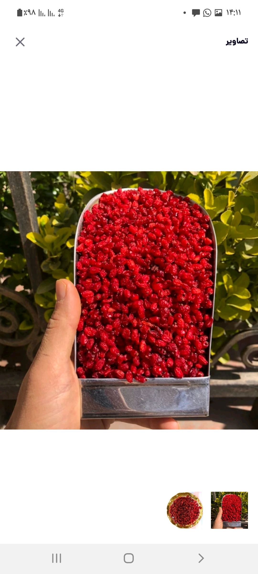 زرشک با کیفیت ایرانی  درجه ۱ 