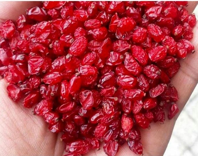 زرشک اصل قاینات