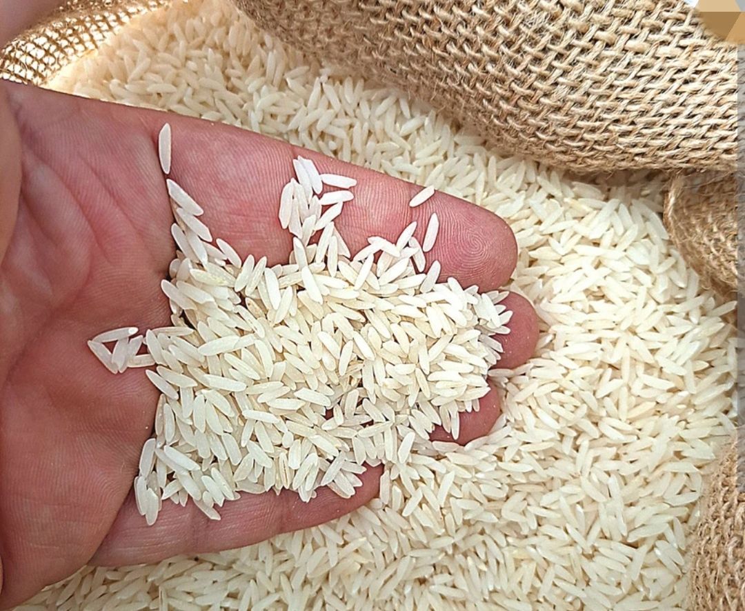برنج اعلای کیانی شمال