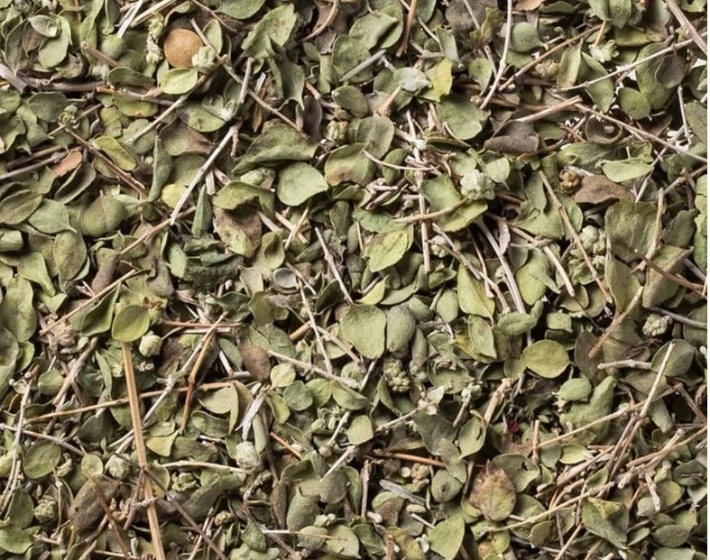 آویشن شیرازی اعلا
