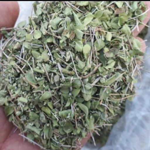 آویشن شیرازی اعلا