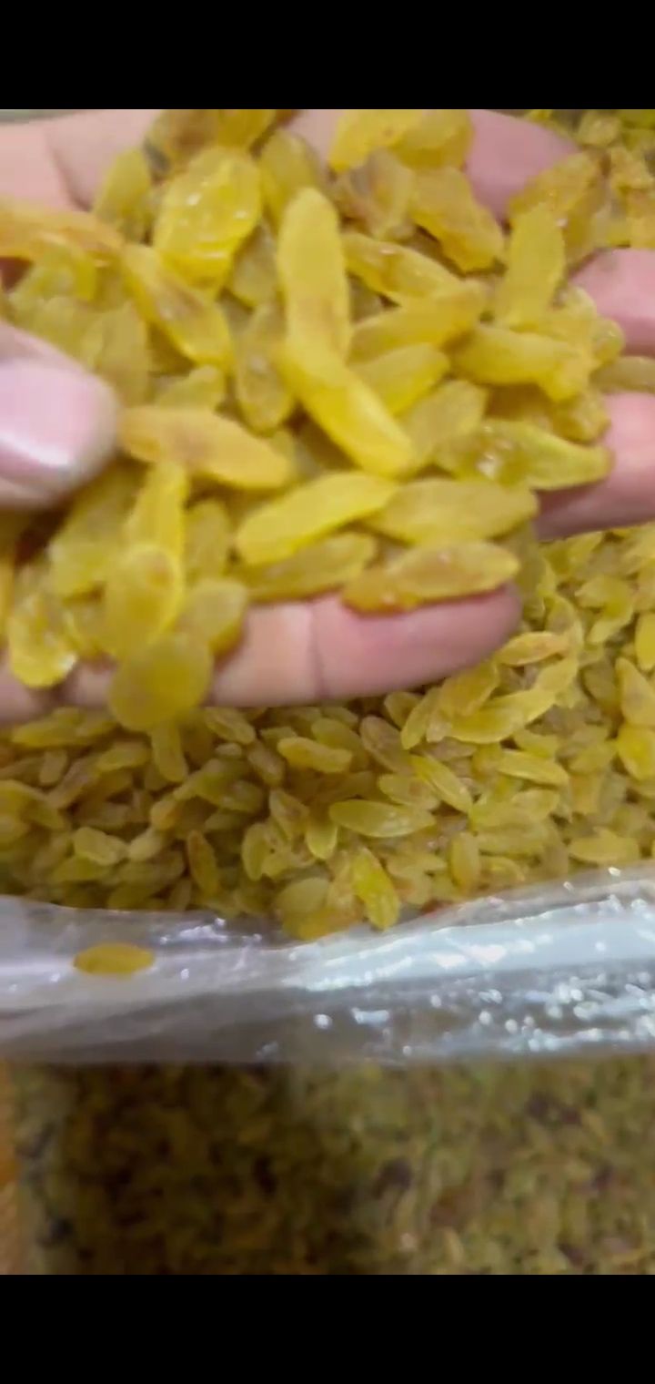  کشمش زرد قلمی