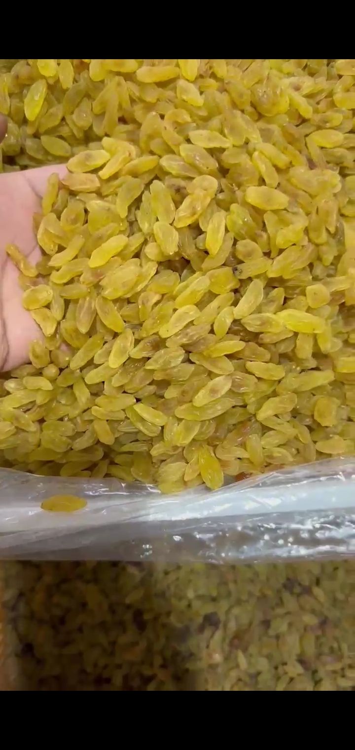  کشمش زرد قلمی