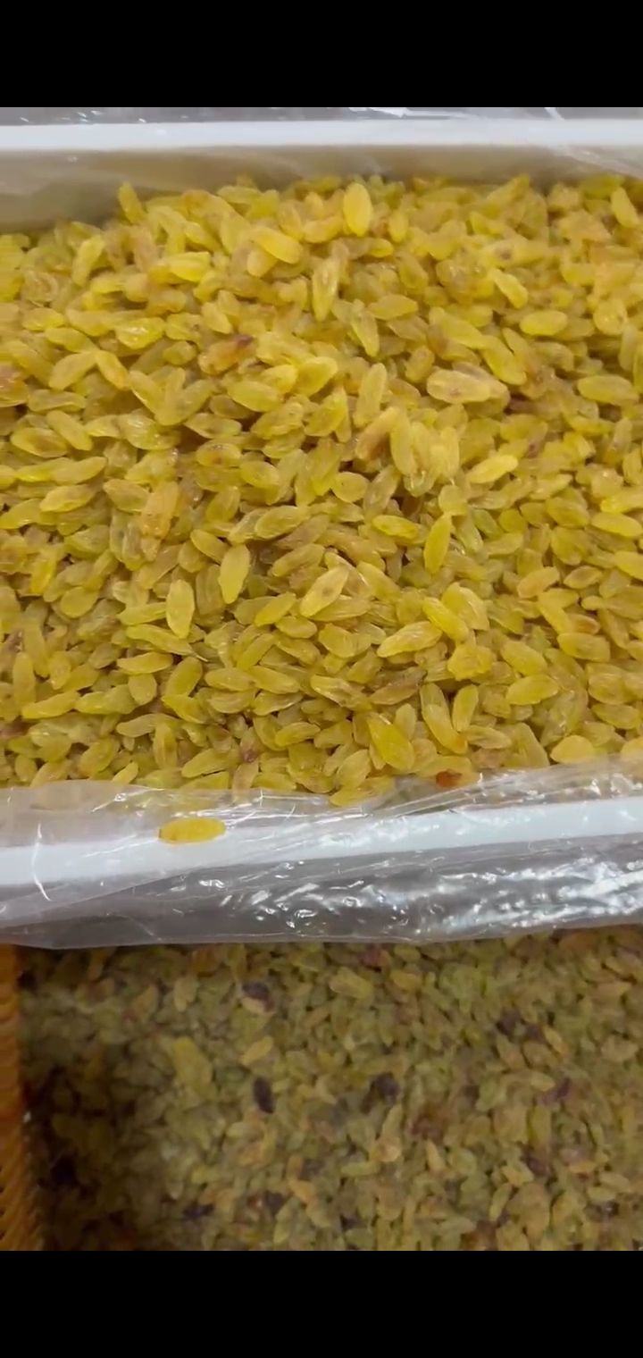  کشمش زرد قلمی