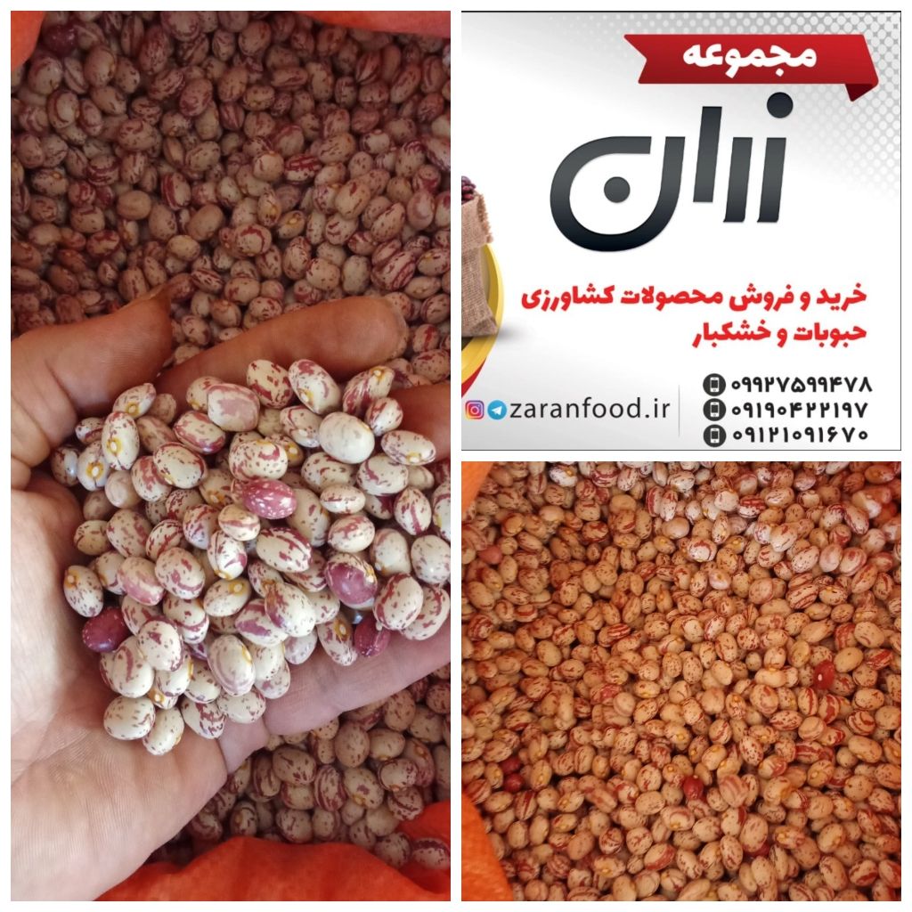 پخش و تامین مواد غذایی زران