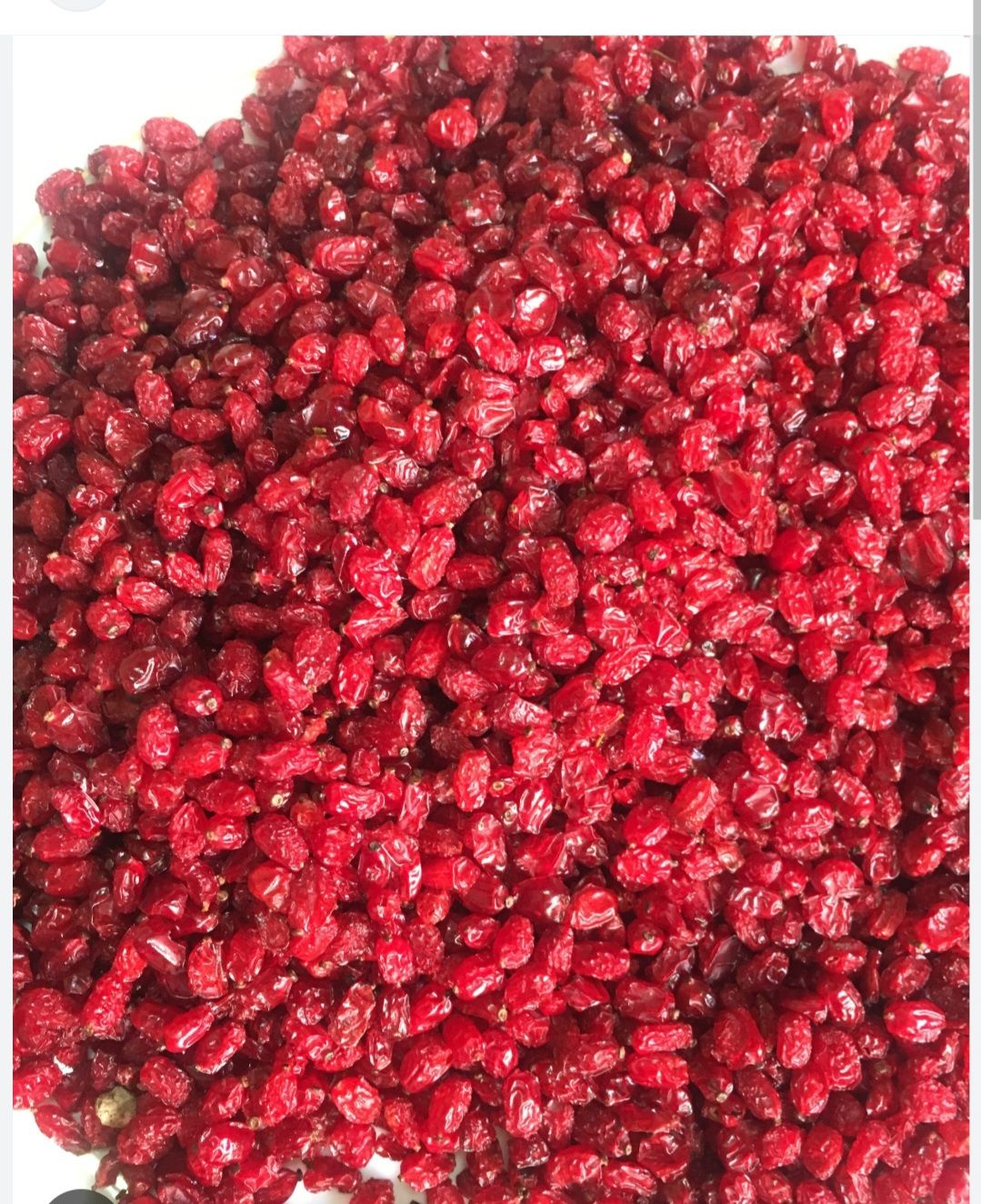 زرشک درجه یک پفکی تازه