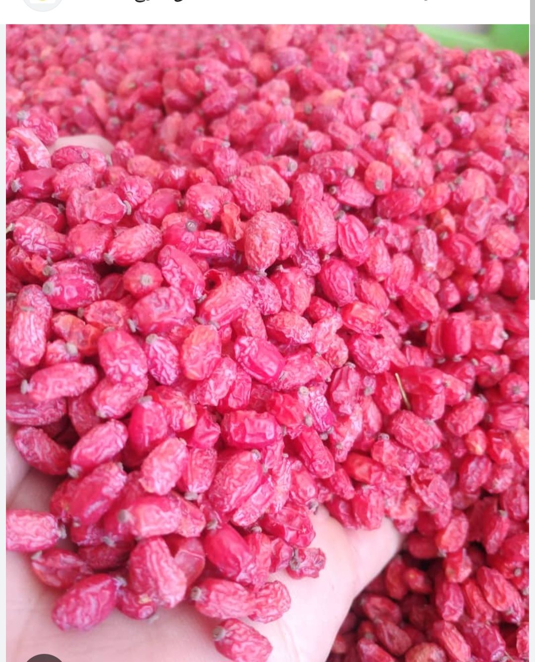 زرشک درجه یک پفکی تازه