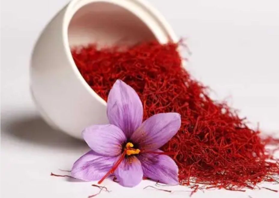 فروش تخمه افتاب گردان و کدو و ...