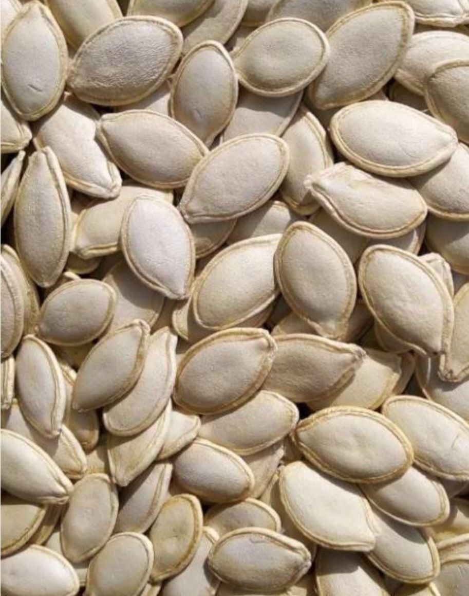 فروش تخمه افتاب گردان و کدو و ...