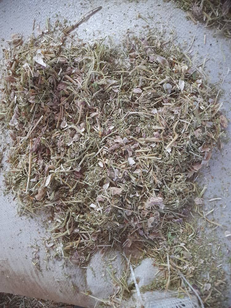 کاه لوبیا