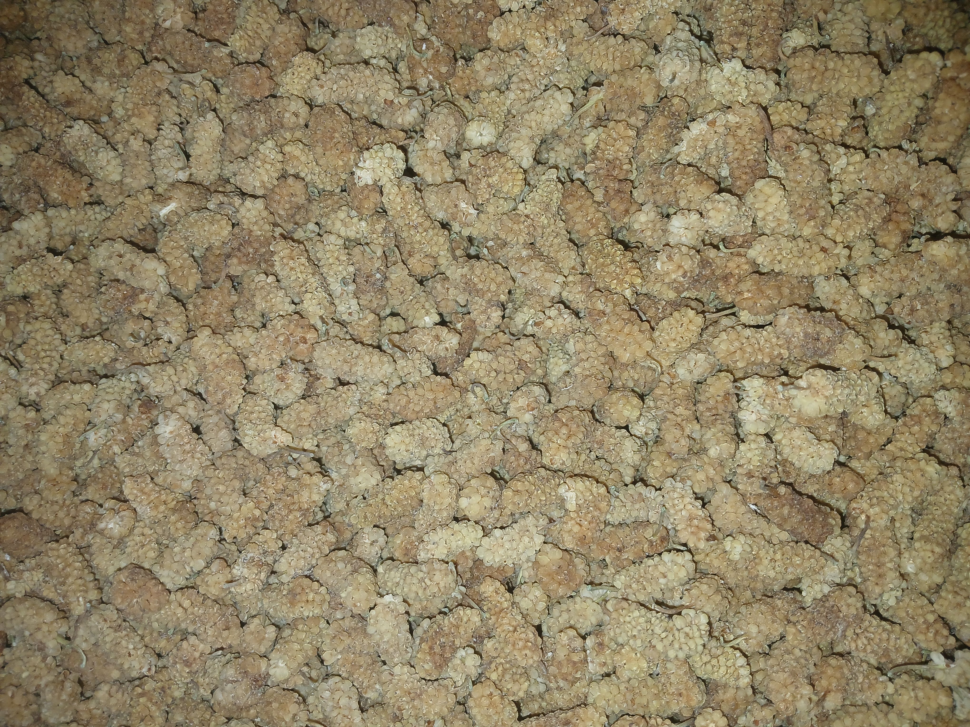 توت خشک خانگی و صنعتی
