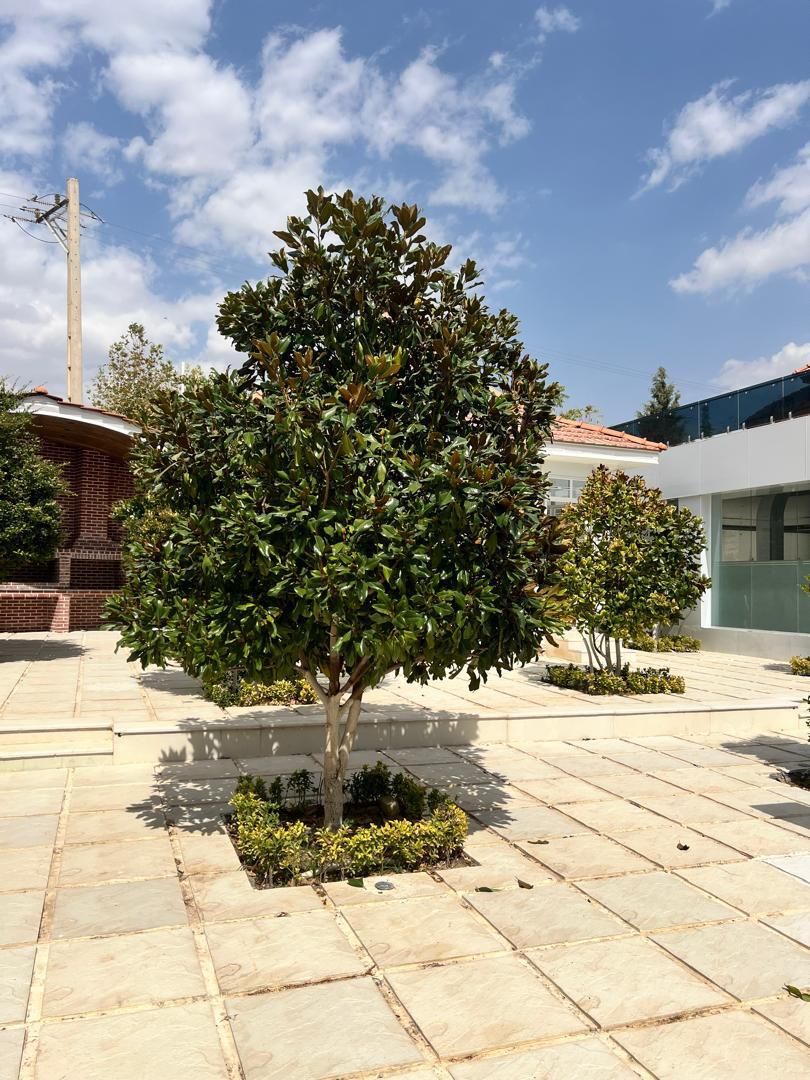 فروش ملک باغ ویلا شیراز