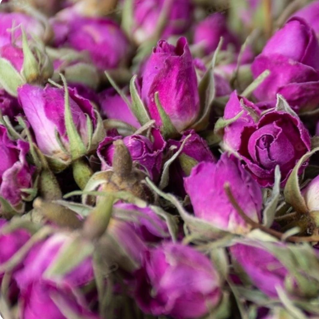 غنچه(گل محمدی)