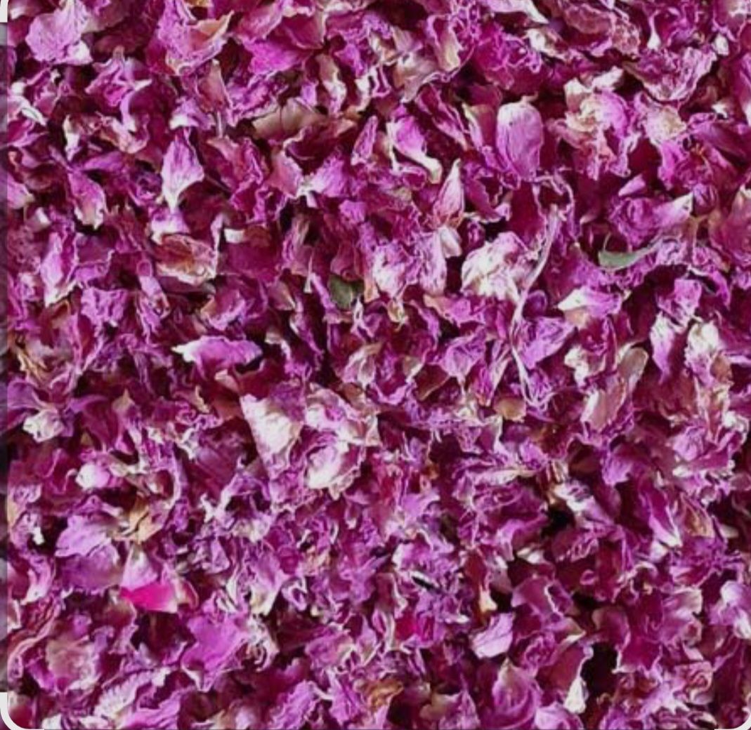 گل محمدی اعلا کاشان