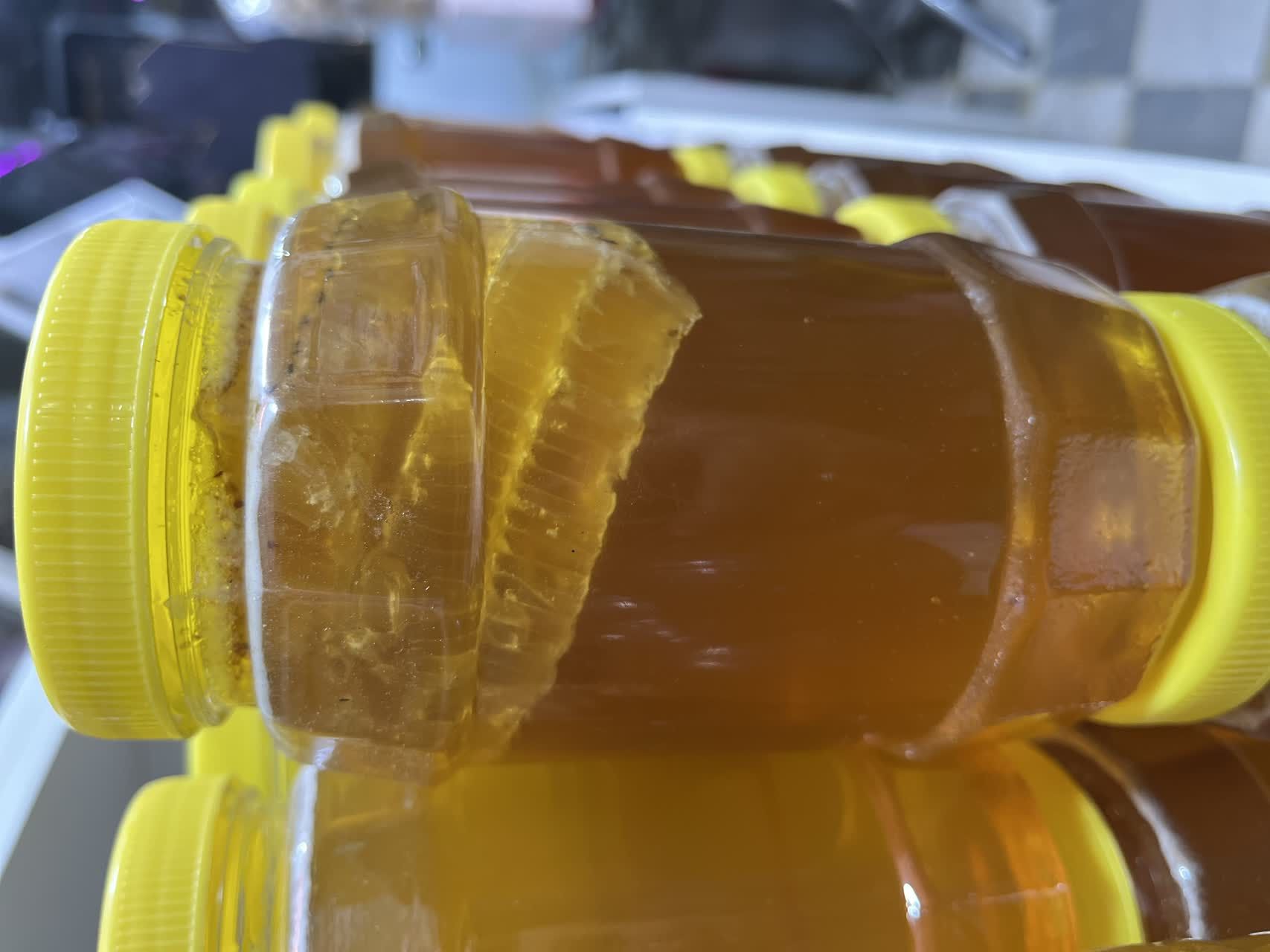 عسل طبیعی درخت کنار 
