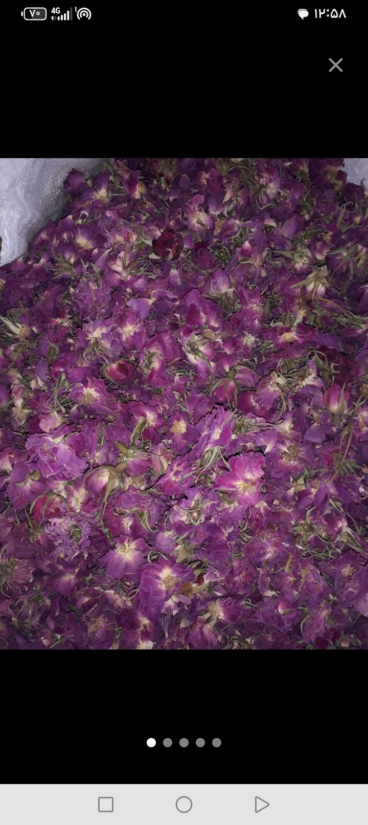 محصولات ایرانی موجود است