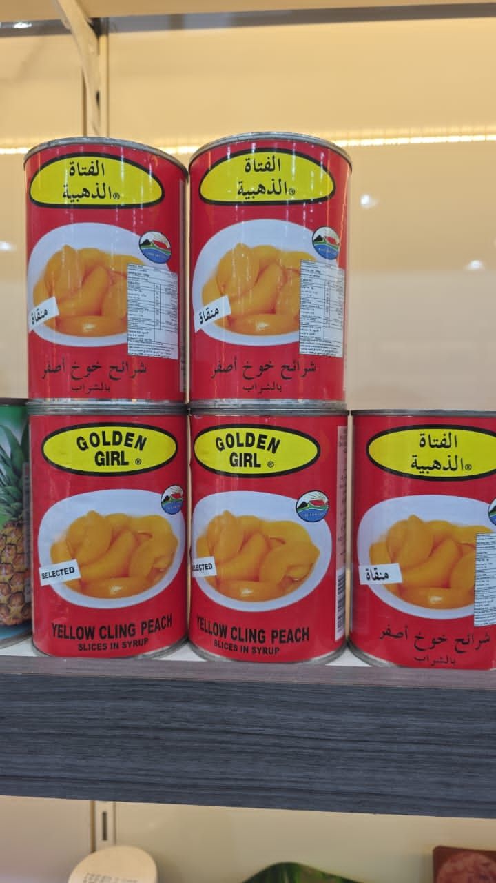 حمل و نقل دریای جنوب